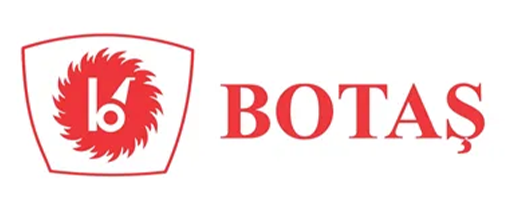 Botas